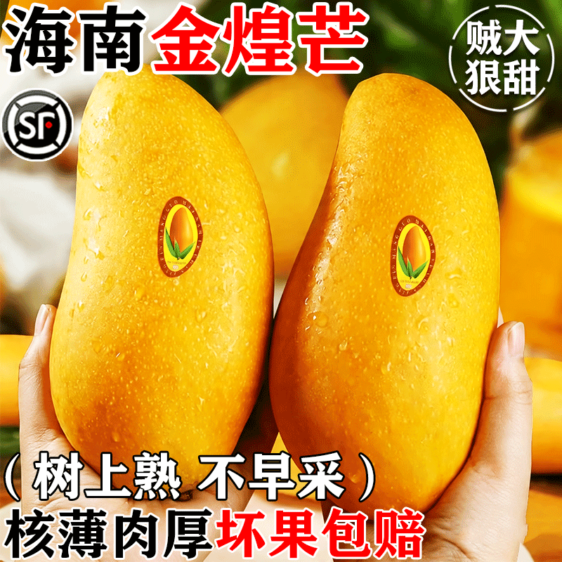 正宗海南金煌芒果个大肉厚