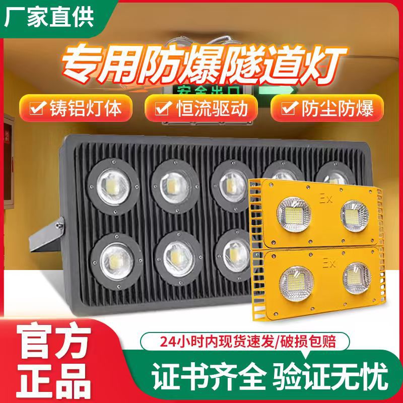 LED防爆灯隧道灯厂房车间仓库照明灯工地施工低压36V24防爆投光灯