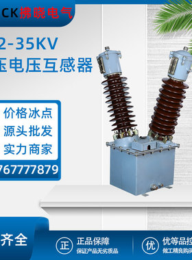 JDJ2-35油浸式高压电压互感器JDJJ-33/40.5KV单相0.5级PT0.1/0.22