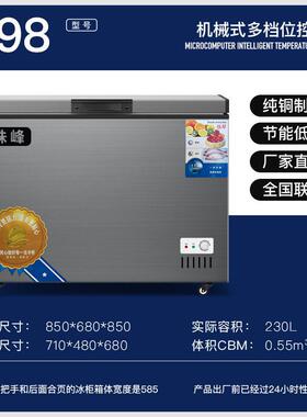 家用小冰柜230升温全冷冻小型超市冷藏冷柜低能耗一级能效锁鲜