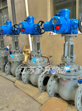 不锈钢电动闸阀 Z941W-100P DN250耐高压整体开关型电动闸阀