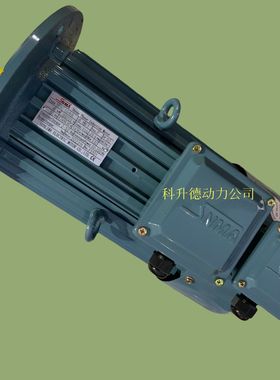 SNMA电机  SENLIMA马达  YPNC-33.3-11-A  11KW