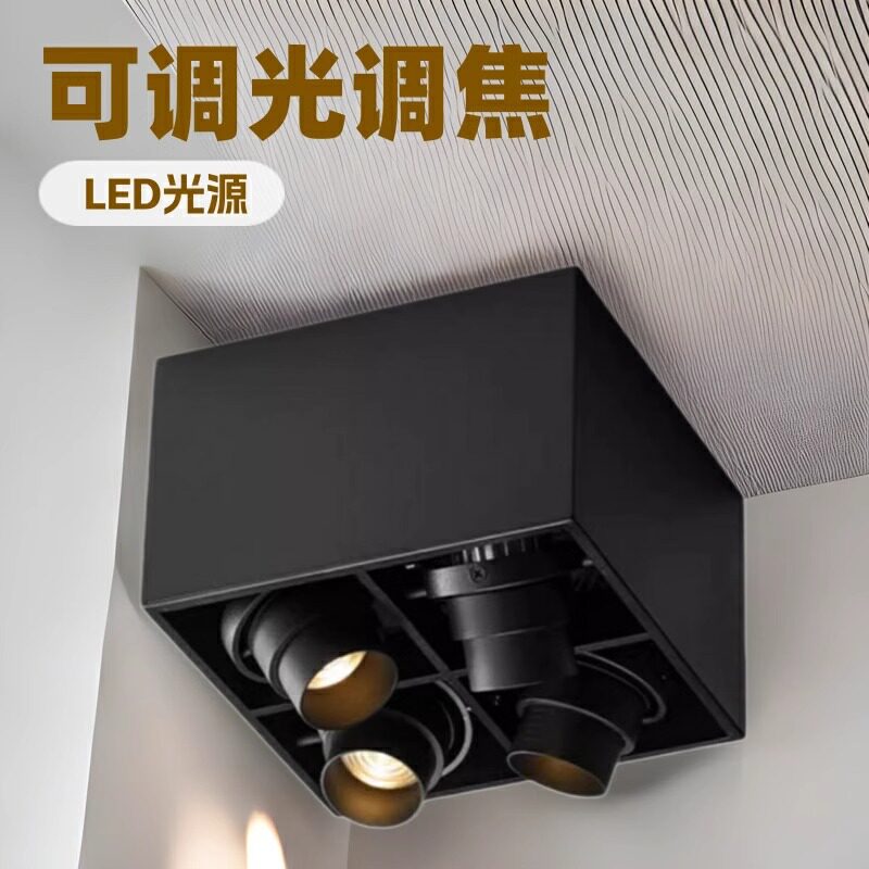 LED明装双头射灯无主灯吸顶
