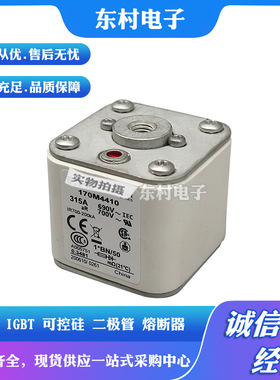 熔断器170M4414 170M4415 170M4416 170M4417/4418/4419全新现货