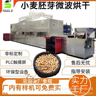 自动化高粱米脱水干燥设备 大豆微波熟化设备 小麦胚芽烘干设备