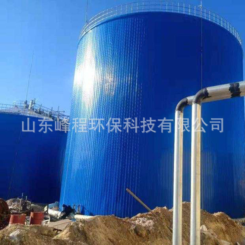 厌氧罐IC高效厌氧反应器养猪场污水处理设备厌氧反应塔
