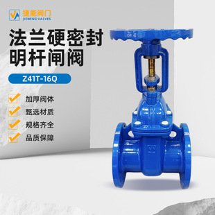 硬密封闸阀防护阀门直供 球墨铸铁 法兰硬密封明杆闸阀Z41T 16Q