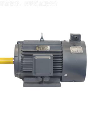 六安江电淮机YV-F2-25M 455KJKHW电机4极55千瓦马0达变频调速电机