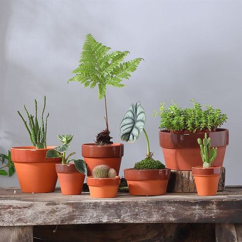 日式常滑烧日式风格红陶素烧盆景培养花盆带底孔透气红陶土陶瓷