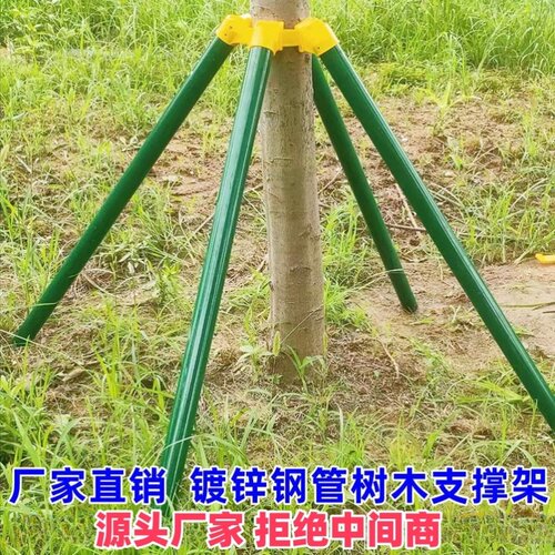 防风固定器抱箍烤漆色树木支撑架金属大杆绿化园艺支撑杆镀锌钢管
