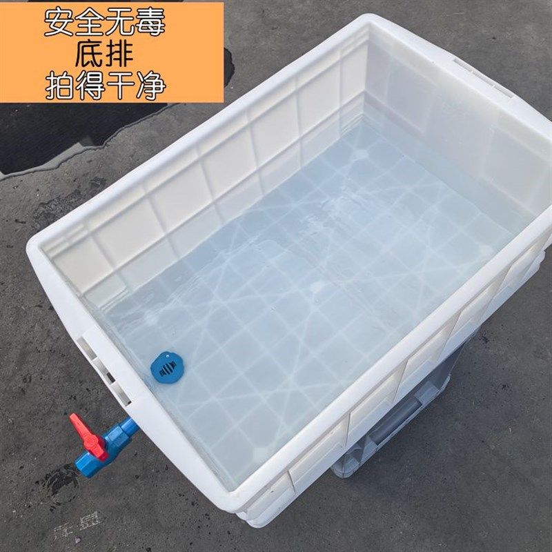 周转箱底部排水带排水阀乌龟周转箱可排水乌龟缸养鱼箱底部排水盆,收纳整理,收纳箱,淘宝优惠券,粉丝福利购,淘宝优惠卷