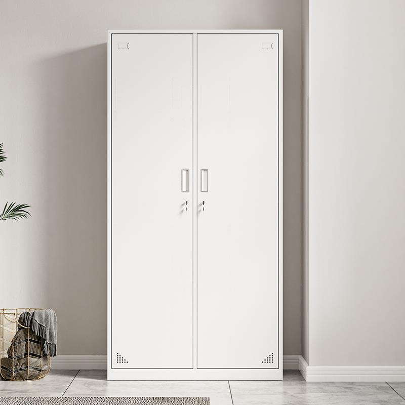 钢制二门更衣柜学校员工宿舍挂衣柜带锁存包储物柜办公室双门衣柜