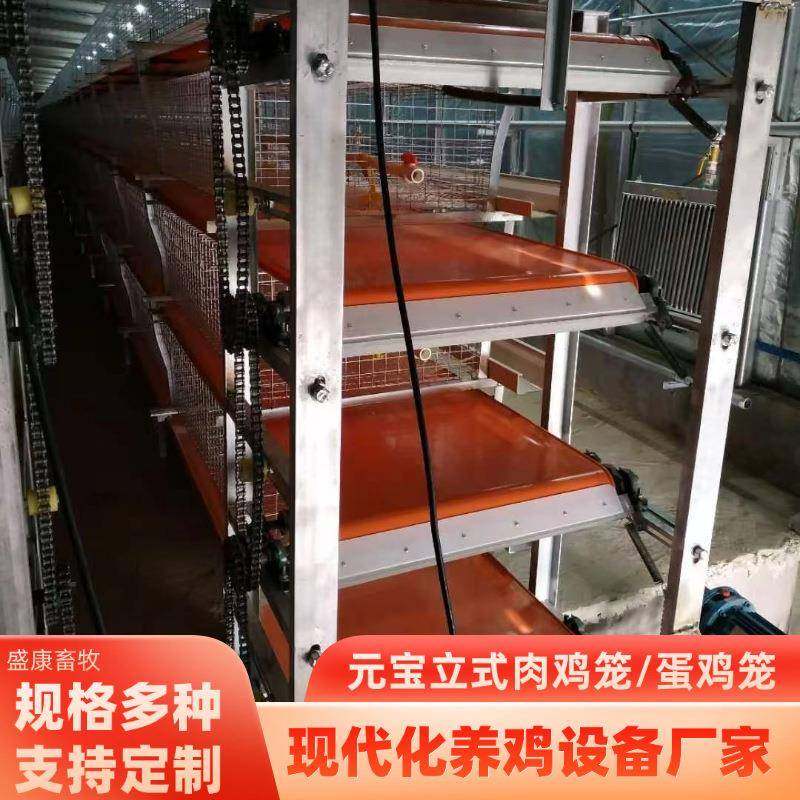 镀锌丝全自动清粪捡蛋畜牧养殖设备鸡笼元宝型简易多层叠肉鸡笼,畜牧/养殖物资,特种养殖设备,淘宝优惠券,粉丝福利购,淘宝优惠卷