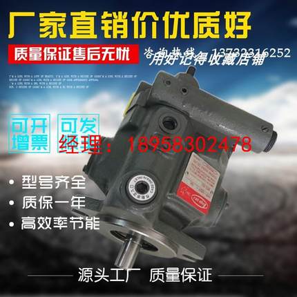 日本机床泵TOYOOKI柱塞变量泵HPP-VB2V-L8A5-G