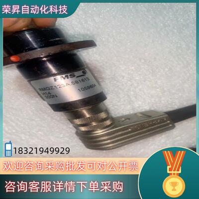 FMS瑞士原装张力传感器RMGZ123A300N安装