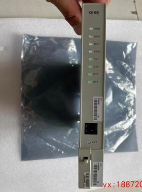 (非标价)GISE