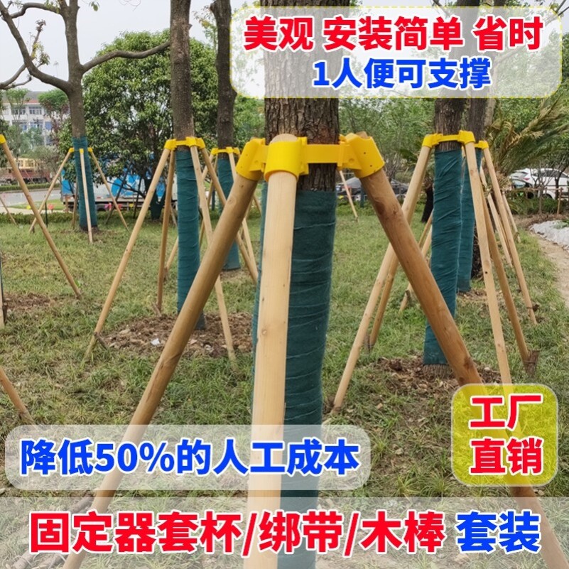 树木支撑杆苗木园林植树木杆捆绑固定三脚架植物护林紧固保护树苗