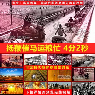 扬鞭催马运粮忙 笛子名曲舞蹈表演晚会节目演出LED高清视频背景