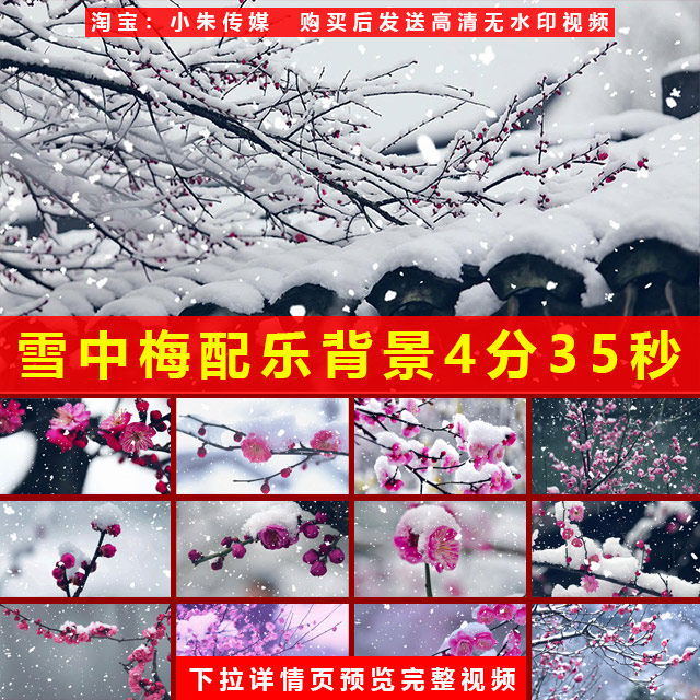 雪中梅配乐背景雪中梅舞蹈背景雪梅led梅花红梅Led背景视频素材