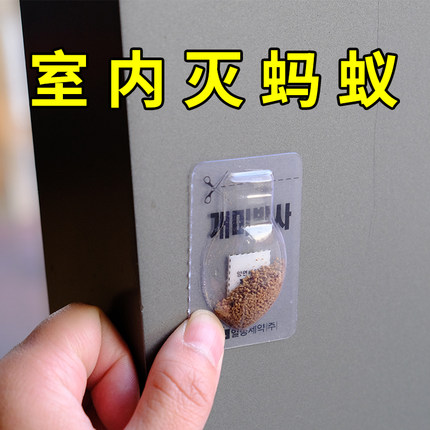 韩国进口日明蚂蚁药家用室内灭杀蚂蚁杀蚁饵粒小红蚂蚁黑蚂蚁