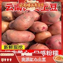 云南农家高山自种新鲜黄心红皮土豆皮薄马铃薯洋芋