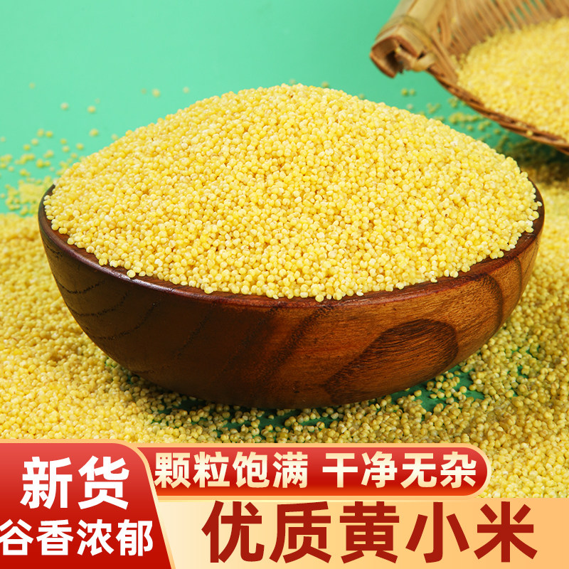黄小米农家当季新粮山东油小米小黄米早餐粥月子米粥食材五谷杂粮