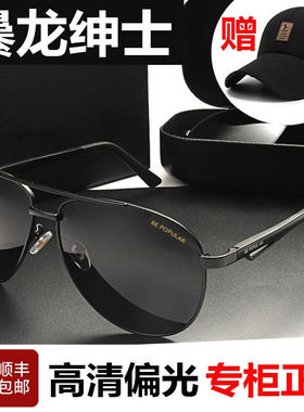 龙绅士太阳镜男日夜两用变色墨镜专用开车驾驶司机镜高清偏光钓