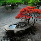 石雕黑山石水钵庭院水池水景户外流水园林新中式 饰摆件 石盆异形装