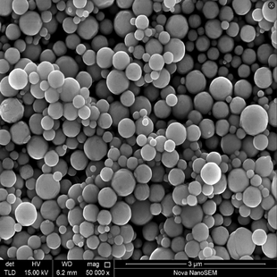 片状球形镍粉 纳米微米镍粉 超细珠链状 枝状刺球 羰基镍粉颗粒Ni