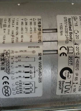 霍曼HORMANN电机W9Gu6D 10002490-10006A445电机445R电机