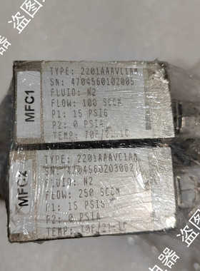 流量计2201AAAVC1AM