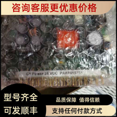 议价C1 Power 24 VDC PAAE065774 电路