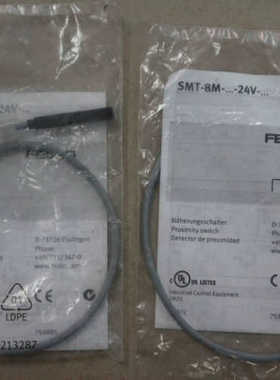 FESTO  SMT-8M-NS-24V-K-0.3-M8D  543871