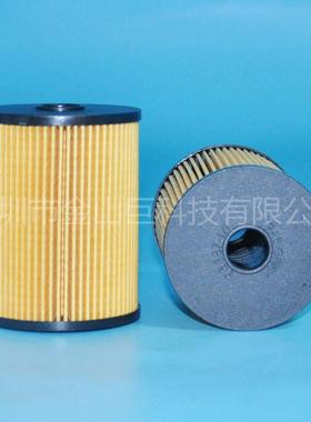 燃油滤芯16146757196 E489KPD461 BE566