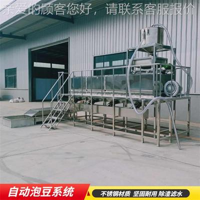 大泡豆VTL机备设 黄豆浸型泡机豆器 制品设备厂家