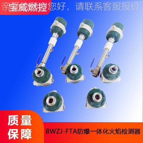 火焰 测器BWZJ-FTA探头 一体化检 B检WZJ-FTAAC火220V 灵敏度高
