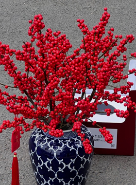 AAA级北美冬青40-50cm喜庆年宵花云南基地直发发财果新年