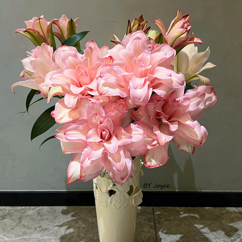 鲑鱼公主重瓣百合-云南直发鲜花家居水养鲜切花