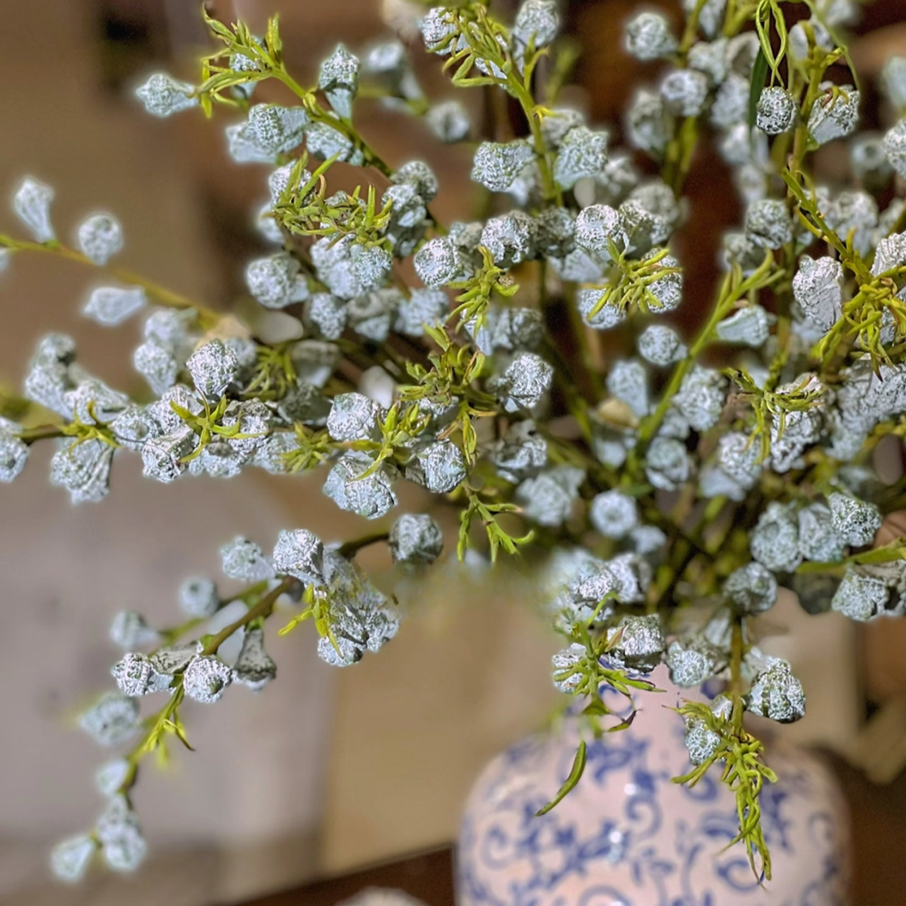云南新鲜尤加利果鲜花配花木本