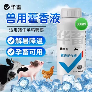 华畜藿香正气液兽用水剂猪牛羊鸡鸭鹅抗应激降温夏季解暑口服液用