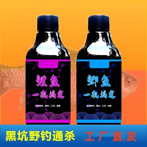 北哥钓鱼鲤鱼诱食剂一瓶搞定全能黑坑野钓小药钓鱼四季饵料添加剂