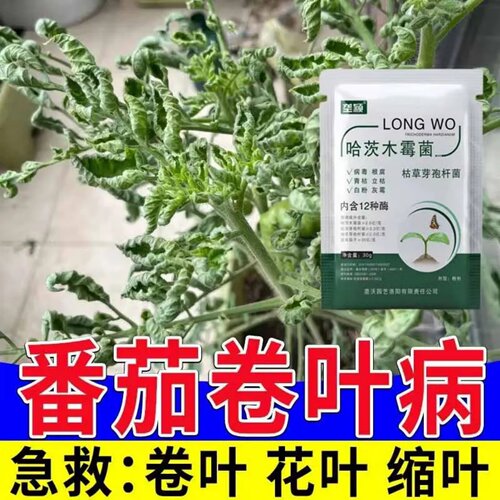 垄颖番茄卷叶病专用哈茨木霉菌枯草芽孢杆菌西红柿病菌清叶面肥