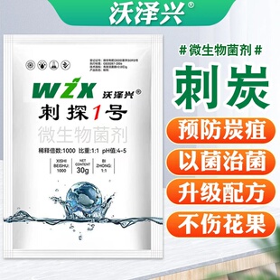 沃泽兴刺炭刺探1号微生物菌剂预防炭疽以菌治菌升级配方不伤花果