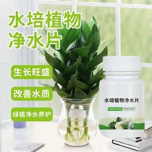 水培植物净水片碗莲富贵竹净水鲜花保鲜片花卉复合肥料植物