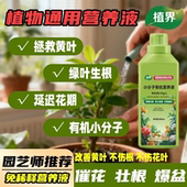 植界植物再生剂浓缩营养液绿植通用型花卉盆栽家庭园艺水溶肥料