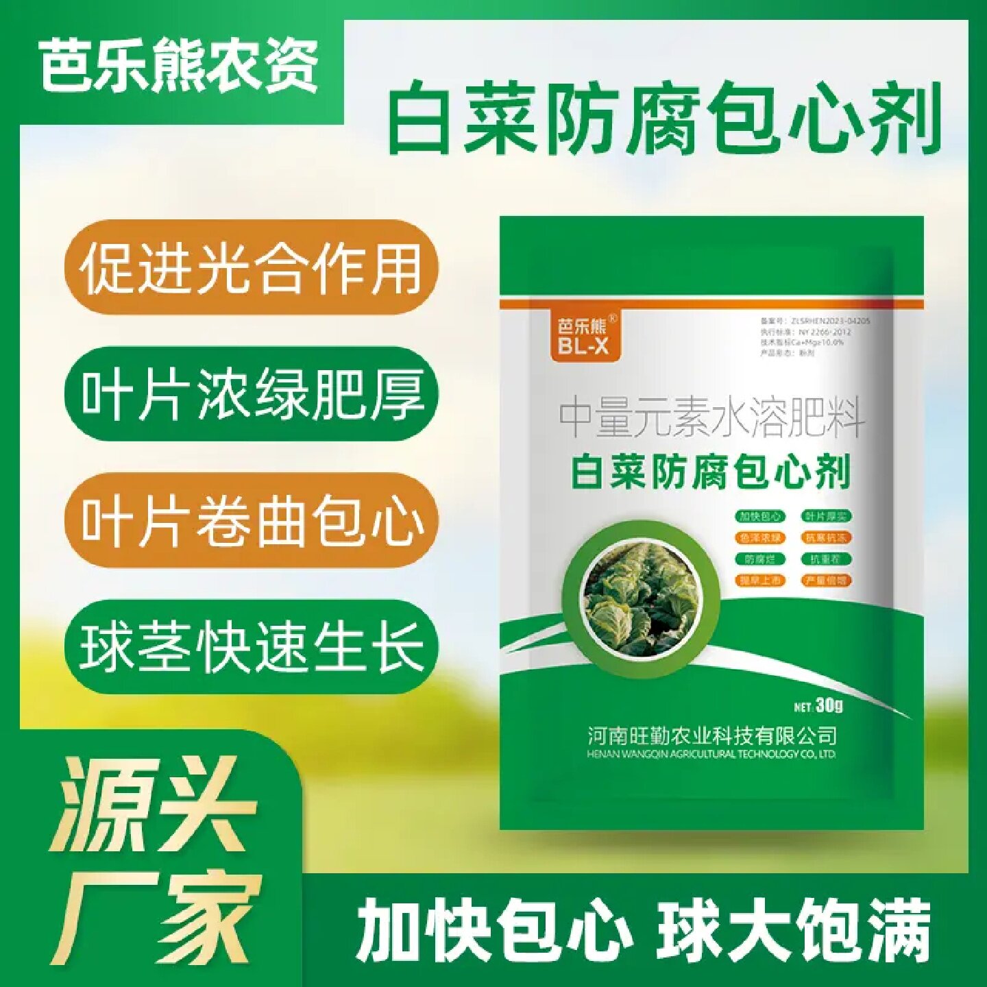 芭乐熊白菜防腐包心剂甘蓝抗寒抗旱防烂心专用中量元素叶面肥料
