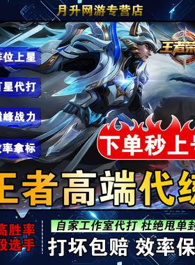 王者荣耀代练陪练陪玩上分排位巅峰赛省标大小国标超高效率通天代