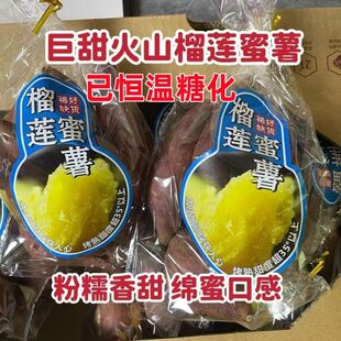广东茂名巨甜火山榴莲蜜薯黄心番薯已恒温糖化粉糯香甜绵密口感