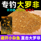 罗非散炮野钓专用鲜腥鱼鱼饵料黑坑专攻罗非鱼大福寿散炮饵料专用