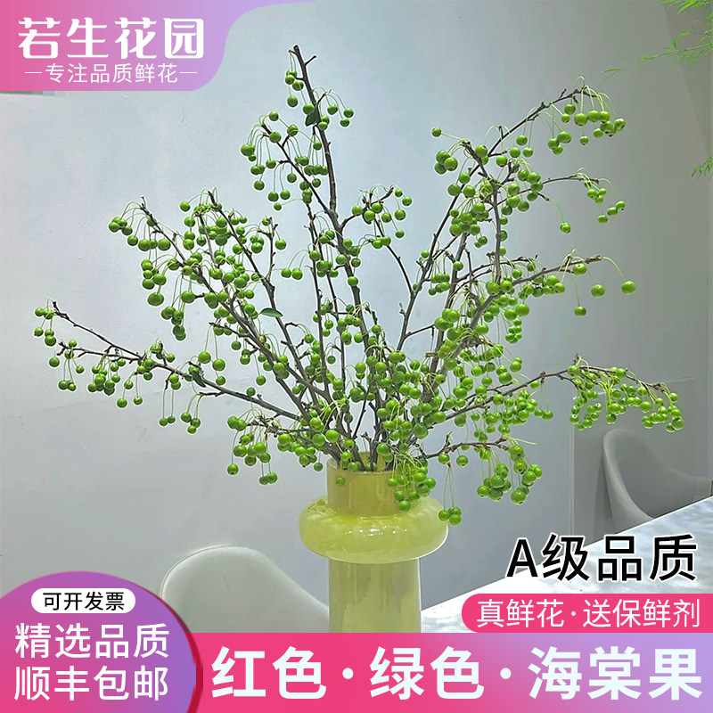 海棠果鲜花小苹果鲜切果水培插花办公室内家用瓶插花云南基地直发